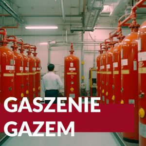 Read more about the article Gaszenie Gazem